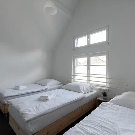 T&k - Several In Apartment