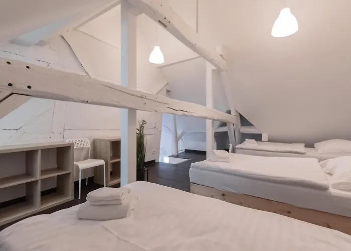 T&k - Several In Appartement